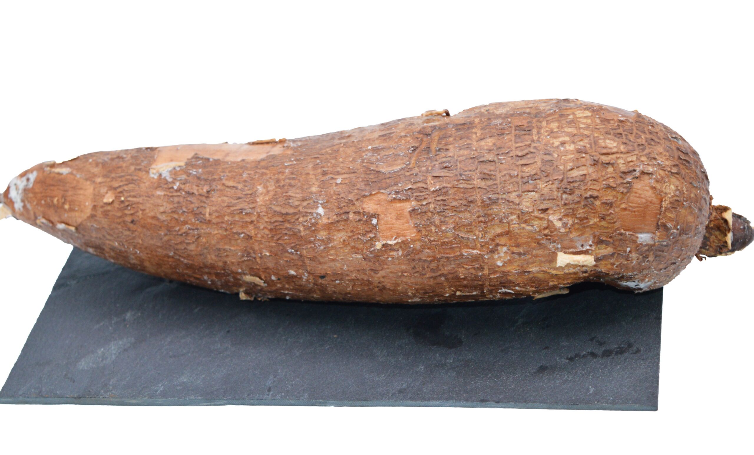 MANIOC 1